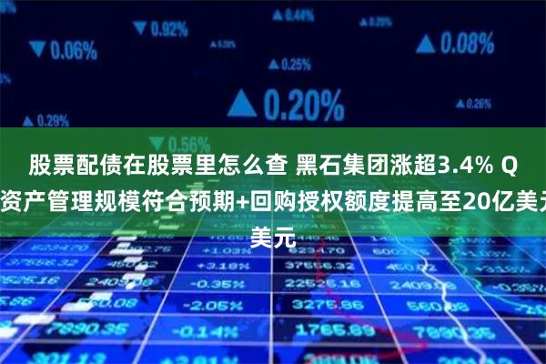 股票配债在股票里怎么查 黑石集团涨超3.4% Q2资产管理规模符合预期+回购授权额度提高至20亿美元