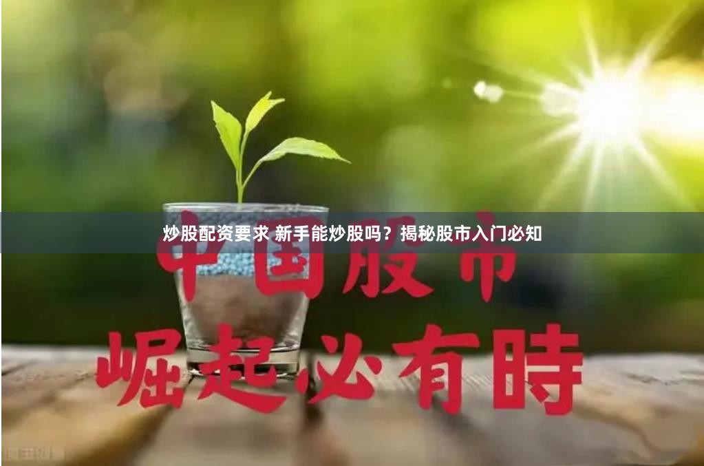 炒股配资要求 新手能炒股吗？揭秘股市入门必知